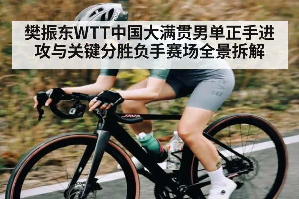樊振东WTT中国大满贯男单正手进攻与关键分胜负手赛场全景拆解